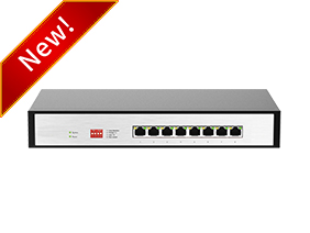 8-Port 10 Gigabit Switch